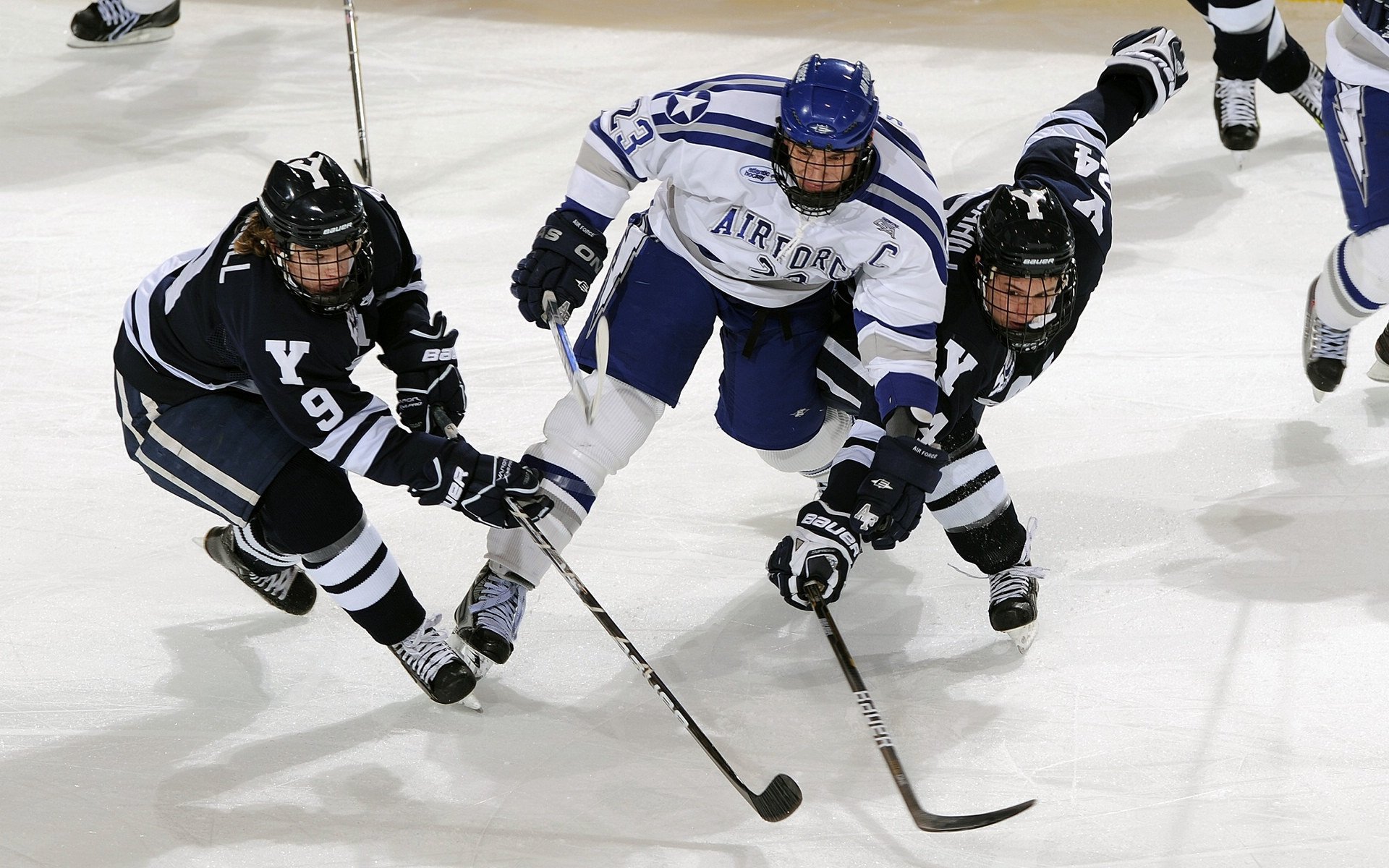 乐鱼体育(中国)官方网站-未来冠军路:谁能实现“黑马逆袭”?